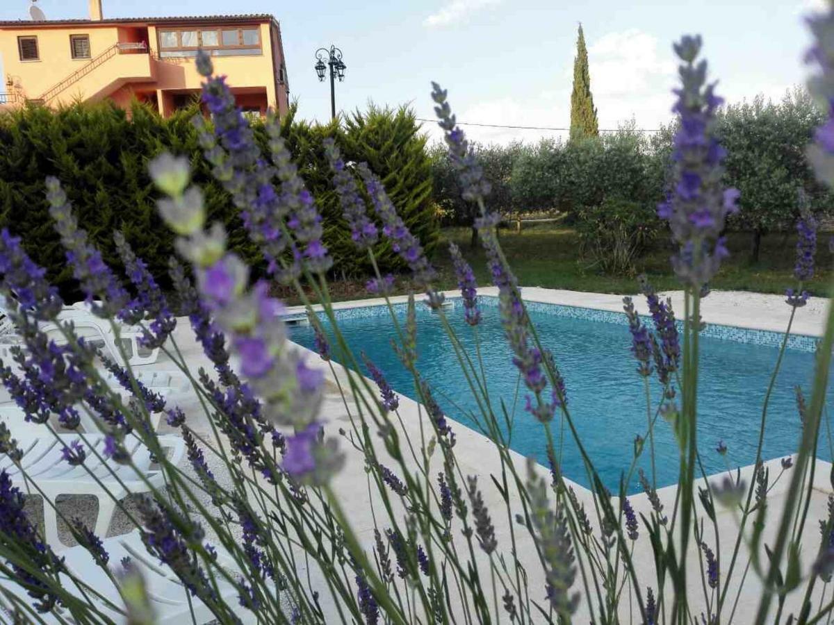 Apartment Rojnic Galižana Esterno foto